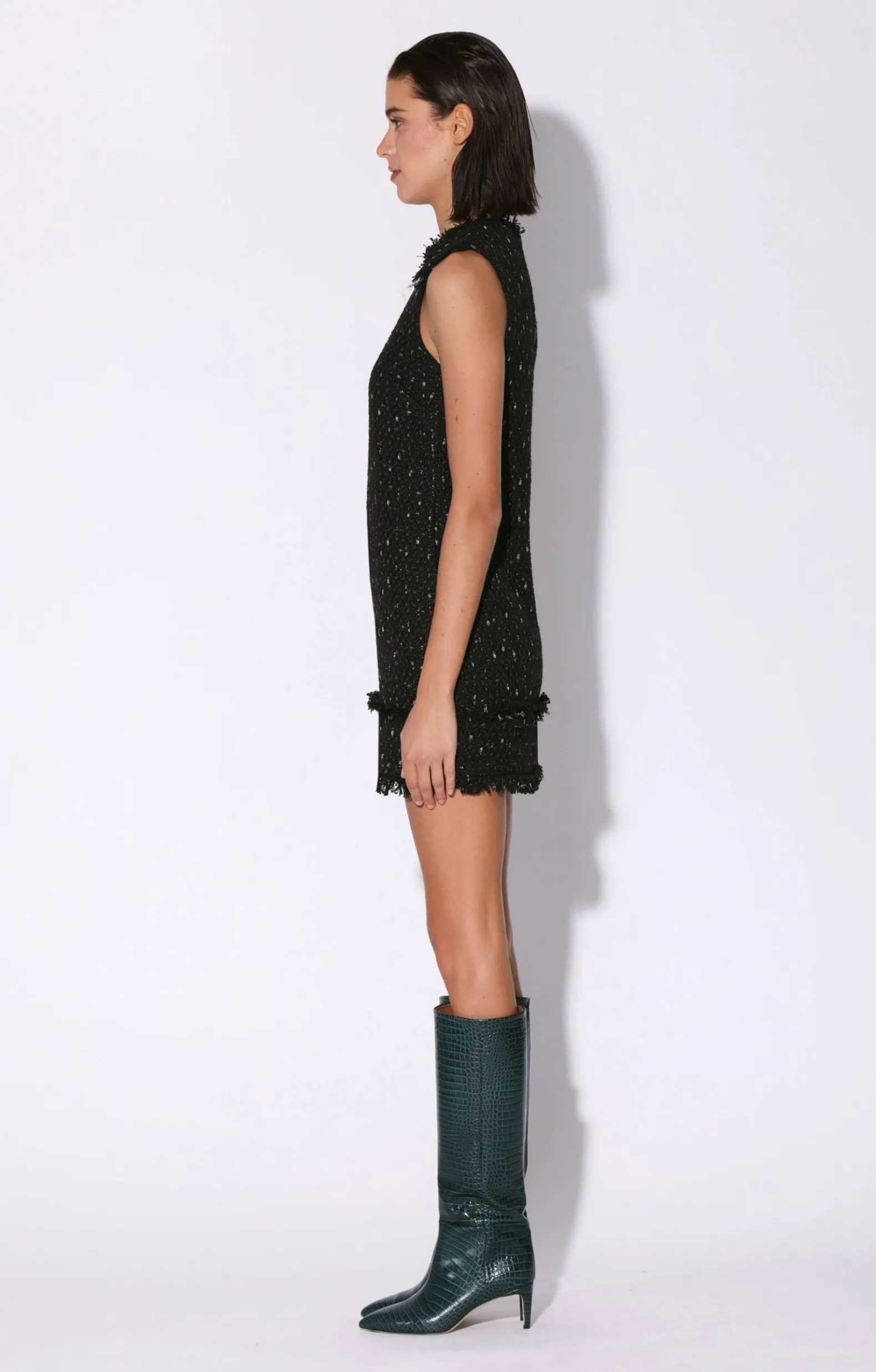 Dresses>Walter Baker Bethani Dress, Parisian Tweed