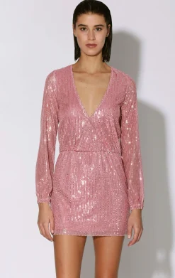 Dresses>Walter Baker Callypso Dress, City Sequin Rose